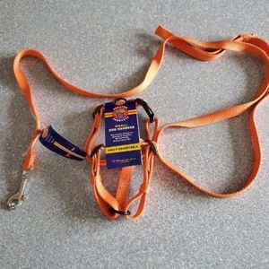 Hamilton Orange dog harness and leash